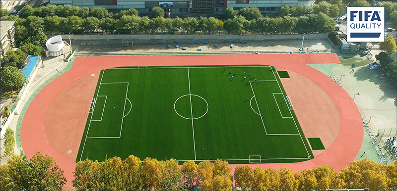 陕西师范大学附属中学FIFA-800.jpg